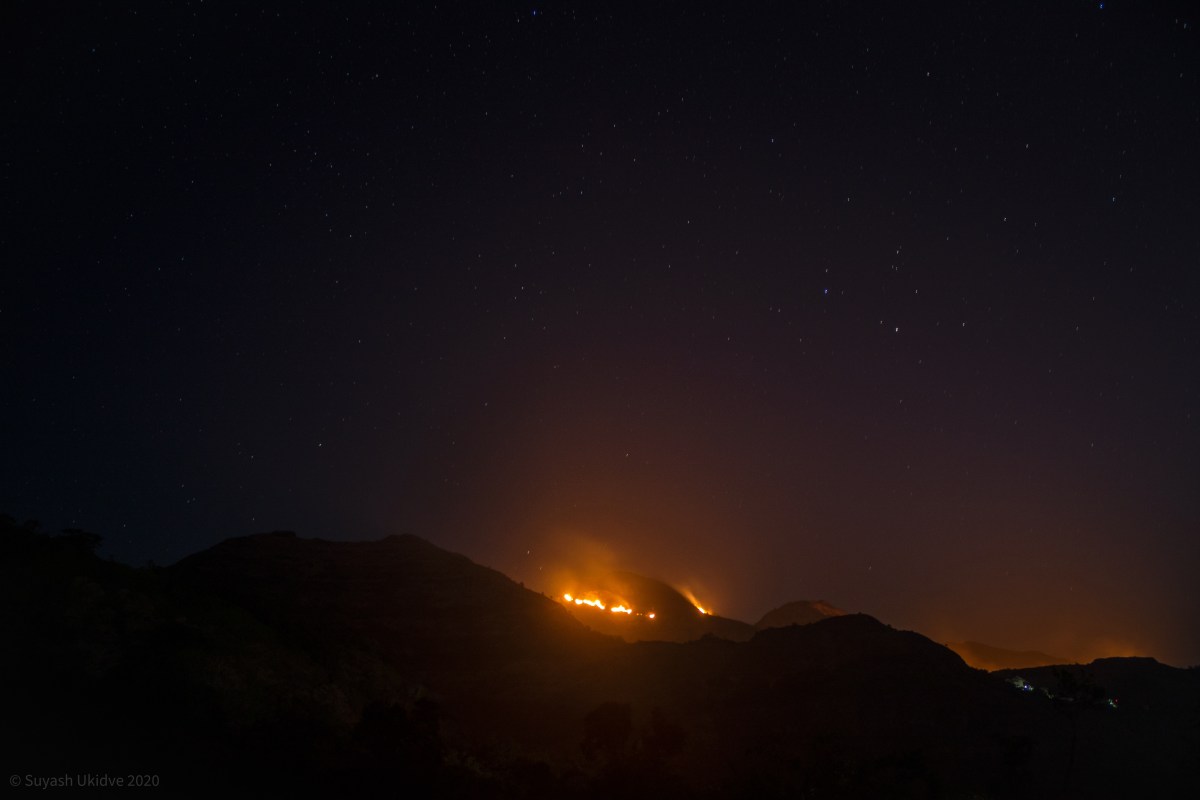 Are Forest fires really&nbsp;bad?